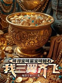 可寻宝可鉴宝可赌石,我三翼齐飞