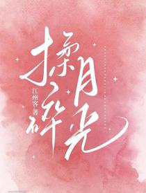 揉碎月光