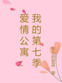 爱情公寓：我的第七季