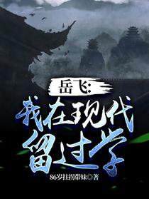 岳飞：我在现代留过学