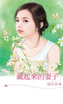 藏起来的妻子