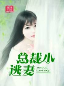 总裁小逃妻