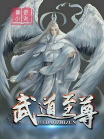 武道至尊
