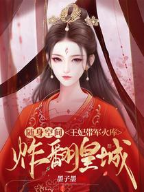 随身空间，王妃带军火库炸翻皇城