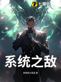 系统之敌