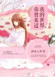 我的世界你曾来过