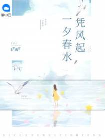 赫亦城的宠妻史